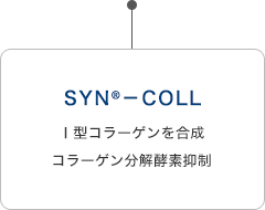 SYN®-COLL I型コラーゲンを合成コラーゲン分解酵素抑制