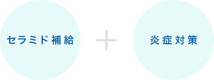 セラミド補給+炎症対策