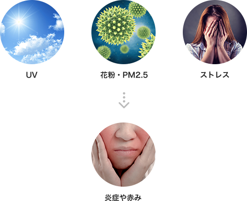 UV、花粉・PM2.5、ストレスなどが皮膚の炎症や赤みを引き起こします。