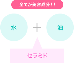 セラミド