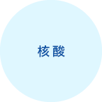核酸