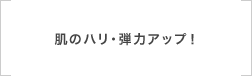 肌のハリ・弾力アップ!