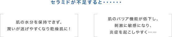 セラミドが不足すると・・・・・・肌の水分を保持できず、潤いが逃げやすくなり乾燥肌に!肌のバリア機能が低下し、刺激に敏感になり、炎症を起こしやすく……