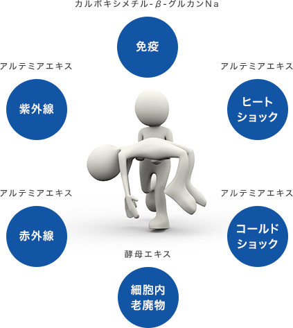 カルボキシメチル-β-グルカンNa 免疫 アルテミアエキス 紫外線 アルテミアエキス 赤外線 アルテミアエキス ヒートショック アルテミアエキス コールドショック 酵母エキス 細胞内老廃物