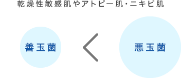 乾燥性敏感肌やアトピー肌・ニキビ肌