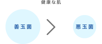 健康な肌