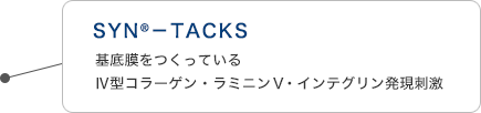 SYN®-TACKS 基底膜をつくっている IV型コラーゲン・ラミニンV・インテグリン発現刺激